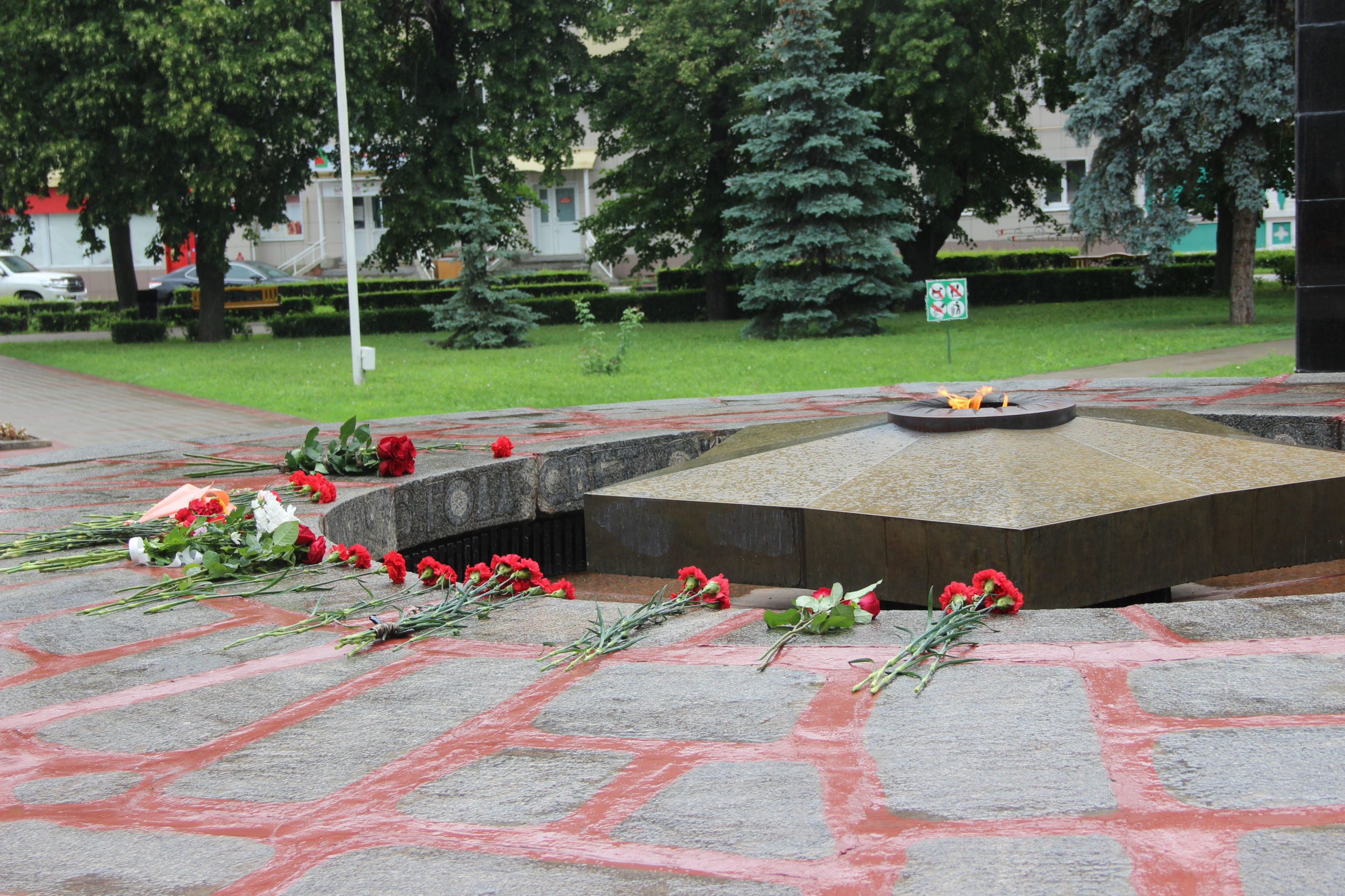 1 июля в России отмечается памятная дата – День ветеранов боевых действий.