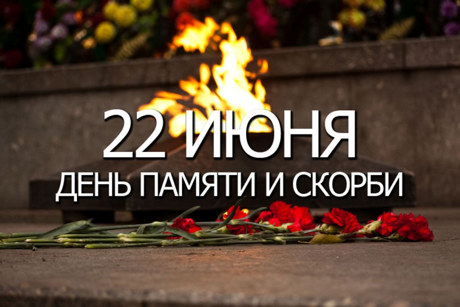 День памяти и скорби по погибшим в годы Великой Отечественной войны.